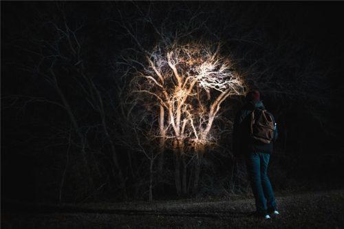 Ročna svetilka Nebo Tac Slyde 300 lm - slika 6