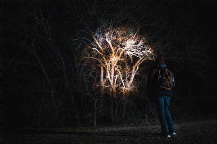 Ročna svetilka Nebo Tac Slyde 300 lm - slika 6