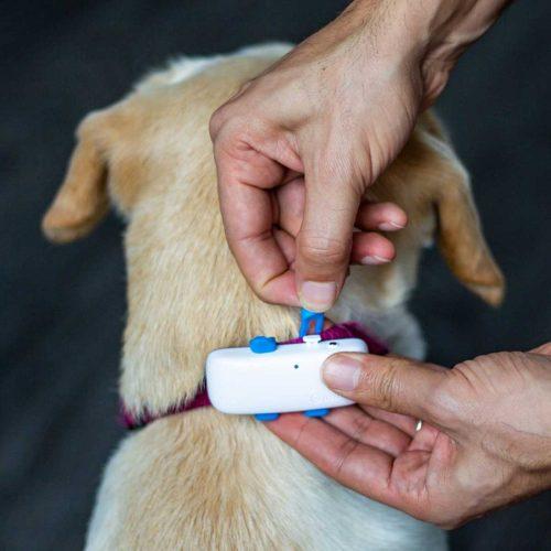 Sledilna naprava za pse Tractive GPS Tracker - več barv - slika 2