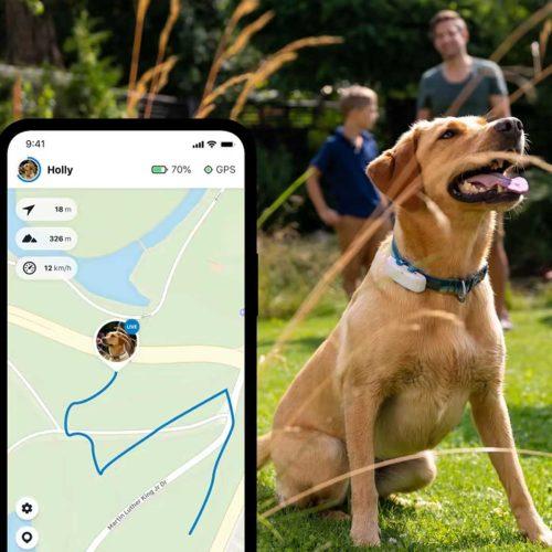 Sledilna naprava za pse Tractive GPS Tracker - več barv - slika 3