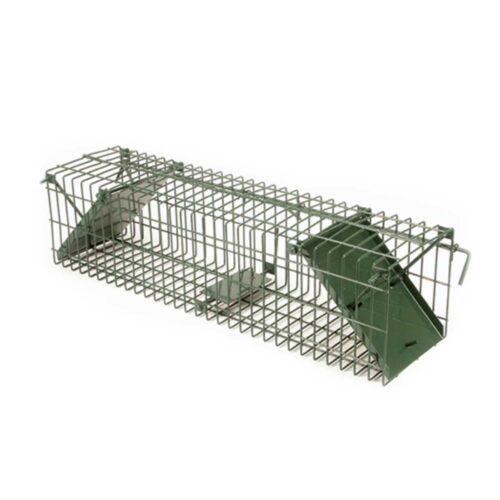 Past Fritzmann - srednja