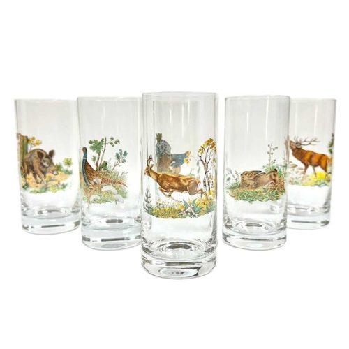 Darilni set Kozap: šest steklenih kozarcev 0,3 L