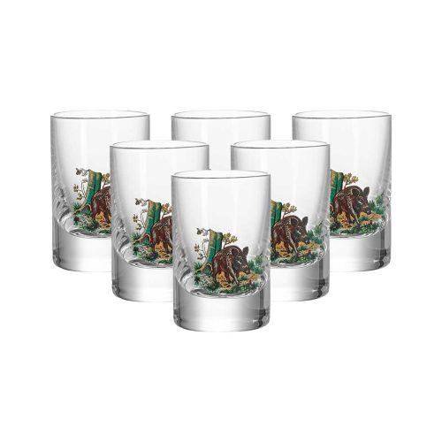 Darilni set Kozap: šest steklenih kozarcev 0,05 L - različni motivi