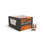 22 Cal 40gr Ballistic Tip (100 ct.)
